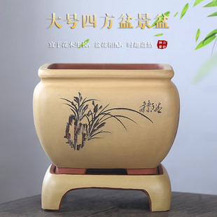 花盆 君子兰精品紫砂花盆 兰花盆 吊兰花盆四方盆景盆送托盘 陶瓷