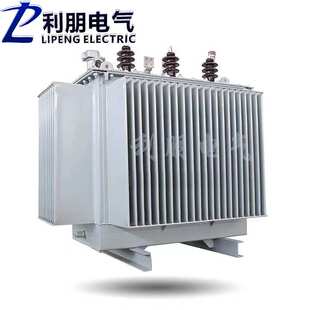 出口油浸式变压器s11-315kva三相纯铜10高压大功率电力s13-630kva