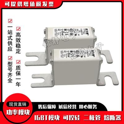 170M1750 170M1751 170M1752 170M1753 170M1754巴斯曼熔断器