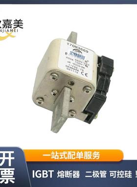 170M3473 170M3466 快速熔断器 电子元器件 型号齐全 量大价优