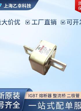 巴斯曼熔断器 170M6647 170M6648 170M6649 170M6650 170M6651