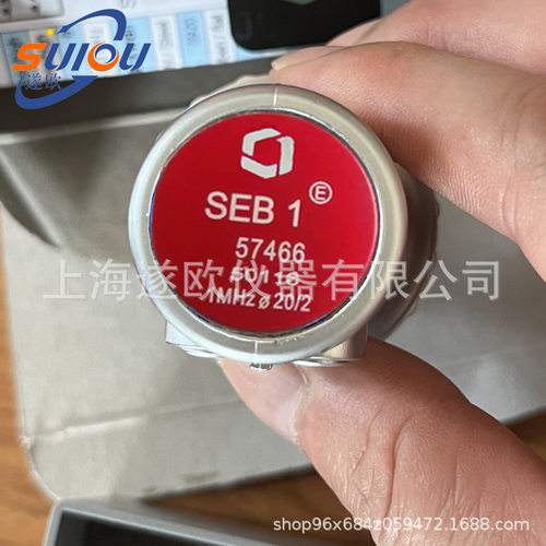 德国KK美国GE贝克休斯SEB1-EN探头 超声波探头