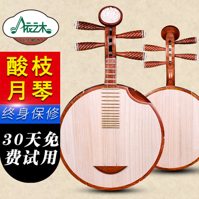 红木月琴特氏古夷苏木月琴花开富贵京剧伴奏西皮二黄酸枝木月琴