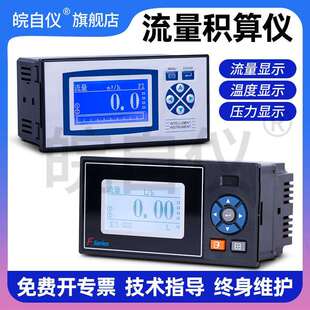 热量积算仪热量控制仪导热油用积算仪行业专用热量积算仪热能表