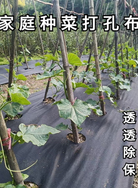 家庭菜园种菜打孔布除草保湿透水透气农用地膜绿色环保可降解地布