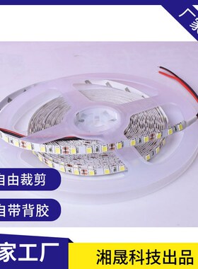 LED灯带 5050灯一卷5米大功率LED灯白色