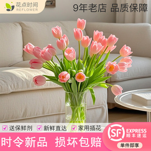 花点时间郁金香鲜花云南基地直发水养家用插花百搭拍照鲜切花花束