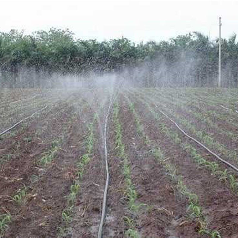 正斜五孔加厚1寸n50三孔农用水管滴灌带喷灌滴管带雾化带节水微喷