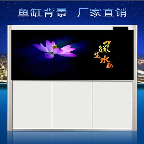 鱼缸背景贴纸水族高清图3d立体海底森林风生水起龙鱼缸风生荷花z