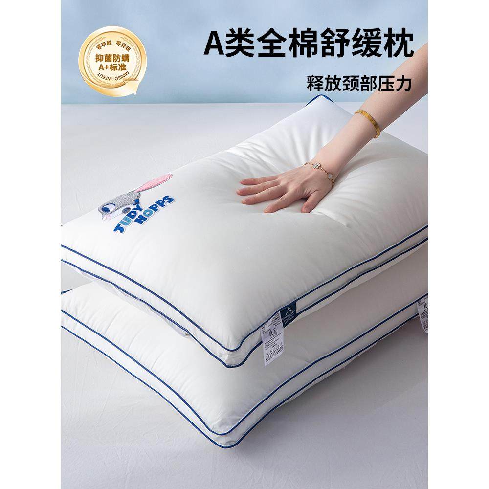 A类全棉枕头枕芯一对装护颈椎助睡眠家用成人枕头芯情侣学生整头,鲜花速递/花卉仿真/绿植园艺,割草机/草坪机,淘宝优惠券,粉丝福利购,淘宝优惠卷