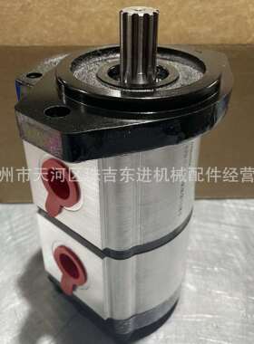 670563ZX for Casappa PLP20.11,2-07S1-LOF/OC/20.7-L/OC-S齿轮