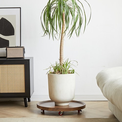 可移动花盆圆形托盘万向轮花盆底盘花店重物滑轮托盘滚轮接水底座