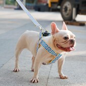 狗狗牵引绳背心式 遛狗绳子泰迪法斗柯基中型大型犬宠物用品胸背带
