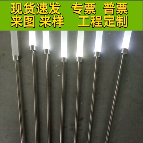 led发光芦苇灯亚克力磨砂棒户外防水园林亮化工程景观插地草坪灯