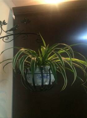 铁艺壁挂花架户外阳台吊篮架花盆吊架挂钩花盆挂架吊兰支架吊花篮