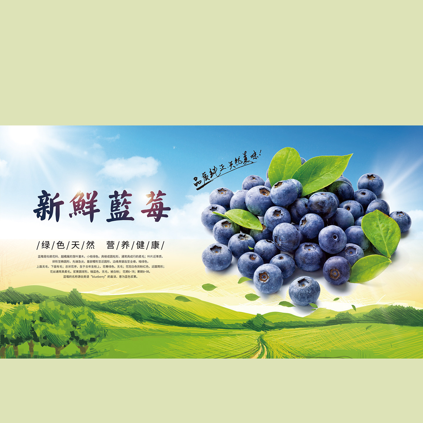新鲜水果海报贴纸蓝莓宣传装饰画水果店超市菜市场自粘玻璃贴KT板