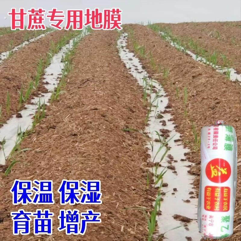 甘蔗专用地膜种甘蔗塑料薄膜白地膜农用大棚保温湿覆盖防草育苗透