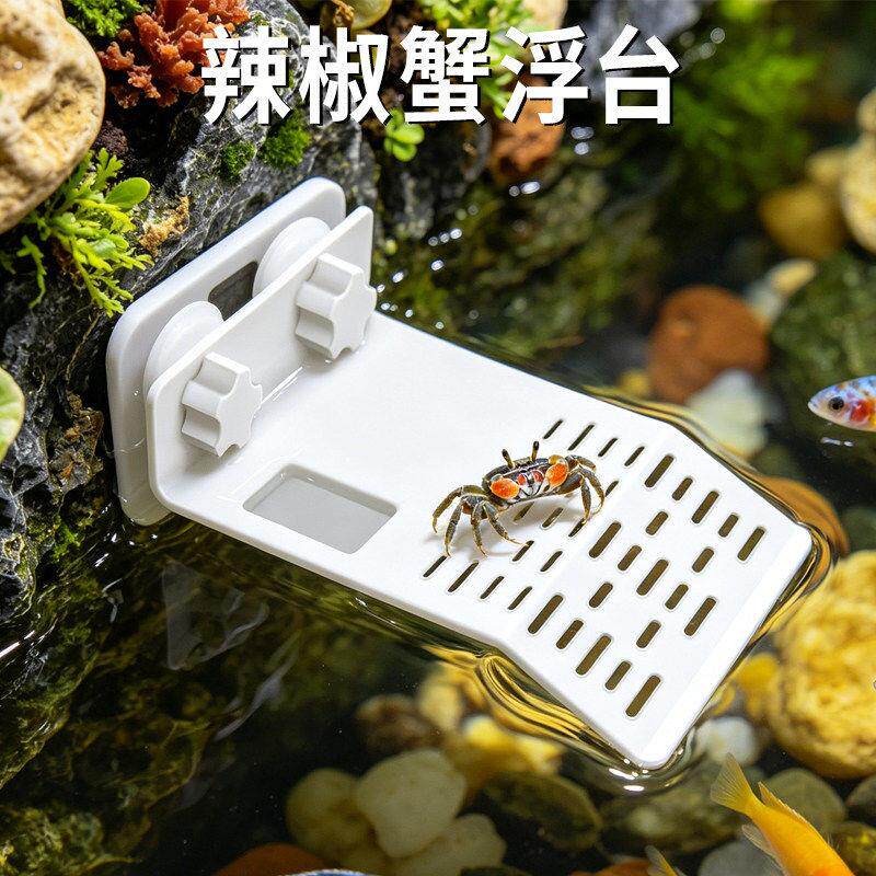 辣椒蟹浮台休息专用观赏蟹攀爬饲养箱高水位爬梯平台造景装饰用品