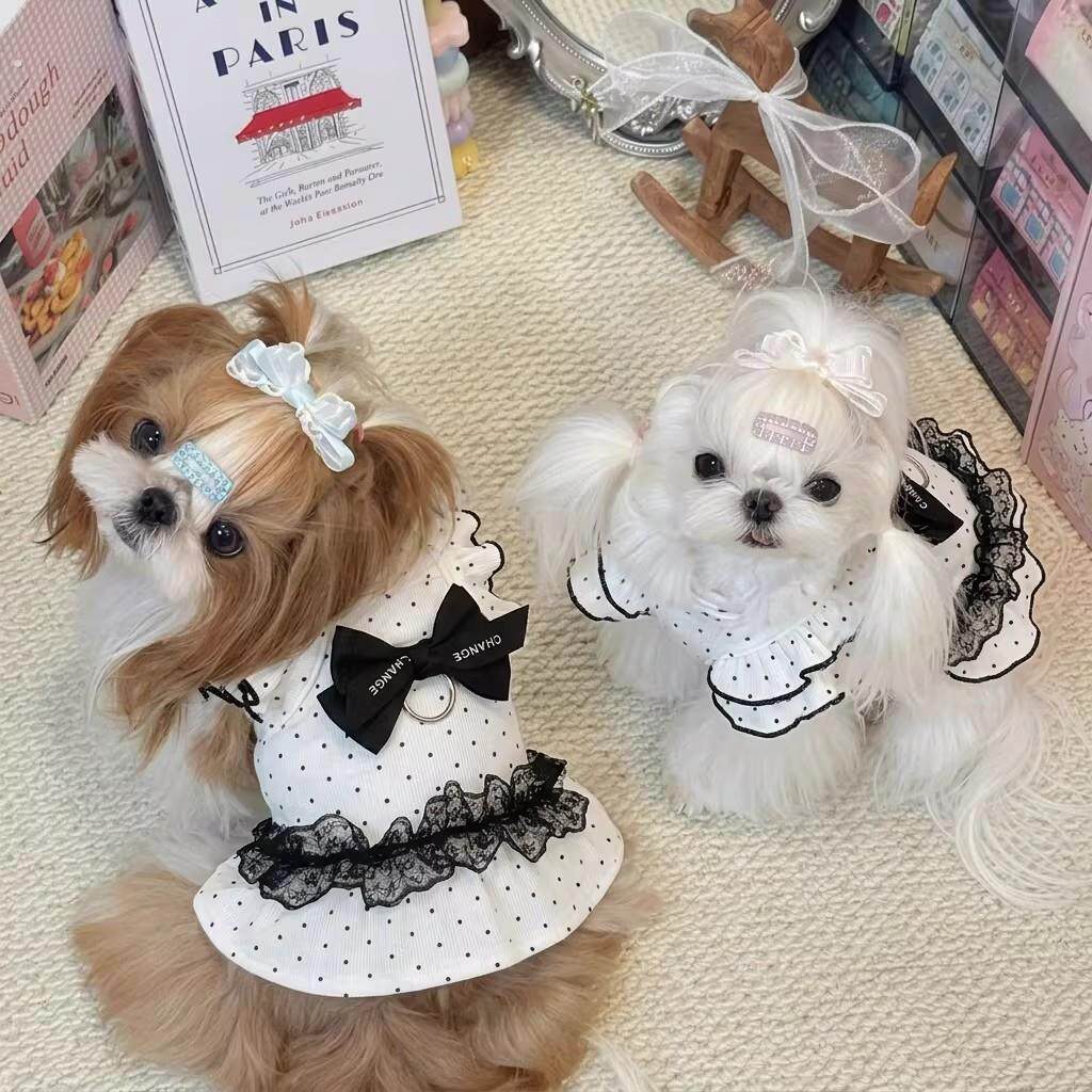 西施犬专用蝴蝶结衣服约克夏马尔济斯狗狗夏季天薄款小背心可牵引