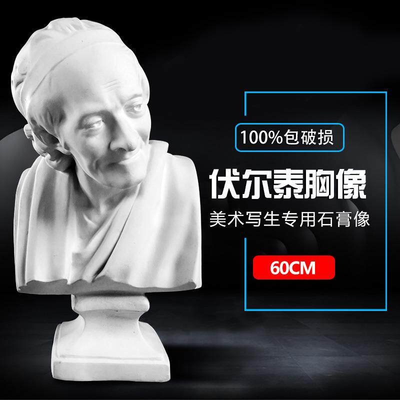 绘岳美术石膏头像伏尔泰胸像素描石膏像静物写生胸像美术器材