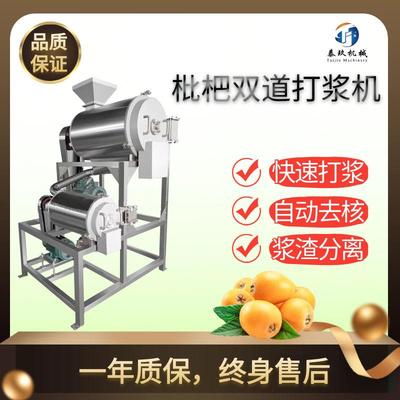枇杷双道去核打浆机商用沙棘去皮打浆机器不锈钢芒果去核取浆设备