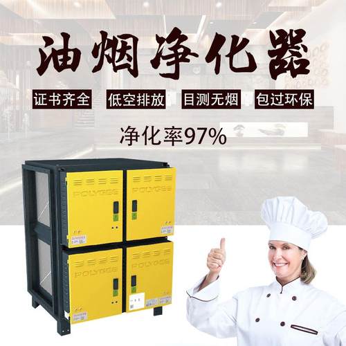 保丽洁饭店厨房餐饮烧烤净化设备低空16000风量静电式油烟净化器
