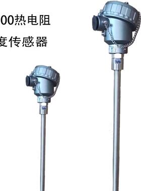 WZP-130双芯热电阻WZGPK-73MTHPT100Φ12l750mm50-420℃