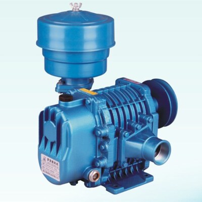 森森 小力泵L9.5鱼塘 活鲜鱼池车用罗茨鼓风机机头 增氧机曝气泵