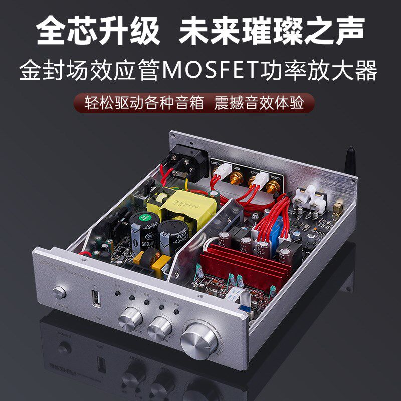 伟良PA-ir600金封场效应MOS管D类数字功放机hifi发烧大功率家用