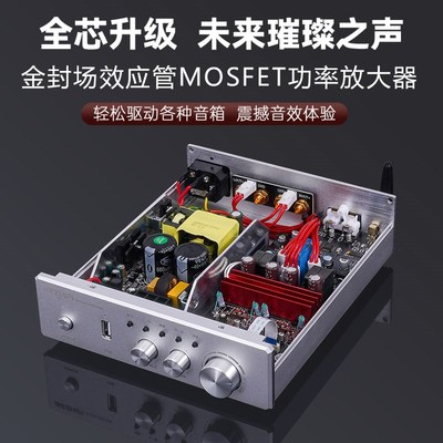 伟良PA-ir600金封场效应MOS管D类数字功放机hifi发烧大功率家用