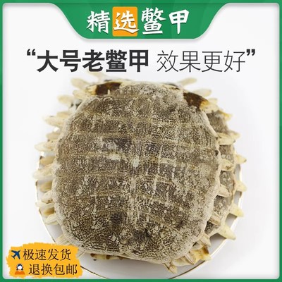 鳖甲中药材正品生鳖甲鳖甲壳甲鱼壳鳖盖子王八壳 鳖甲粉艾灸鳖壳