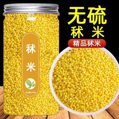 秫米中药材500g药用新货北秫米糯秫黄糯栗官方旗舰店中草药材大全