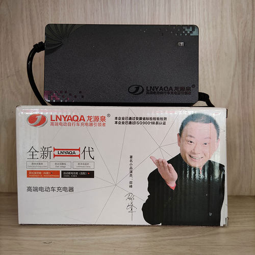 电动车铅酸电充电器高端自动断电龙源泉三孔T口36V48V60V12AH20AH