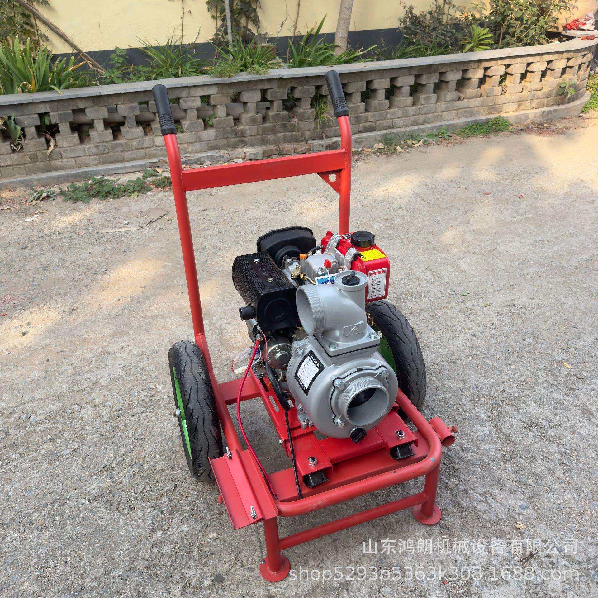 排涝水泵 小型应急高压抽水泵 小型自吸式抽水泵,鲜花速递/花卉仿真/绿植园艺,割草机/草坪机,淘宝优惠券,粉丝福利购,淘宝优惠卷