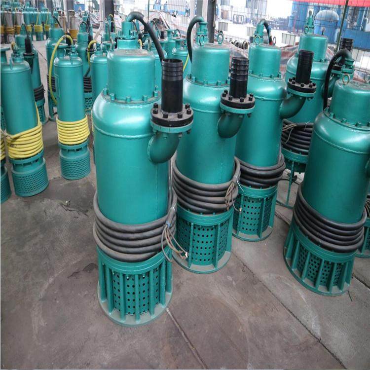 供应BQS系列矿用排污泵 75KW矿用隔爆型排污排沙潜水电泵,鲜花速递/花卉仿真/绿植园艺,割草机/草坪机,淘宝优惠券,粉丝福利购,淘宝优惠卷