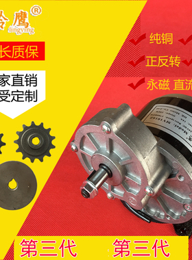12V250W电机24V350w休闲电动车MY1016Z2/减速有刷电机 (带脚
