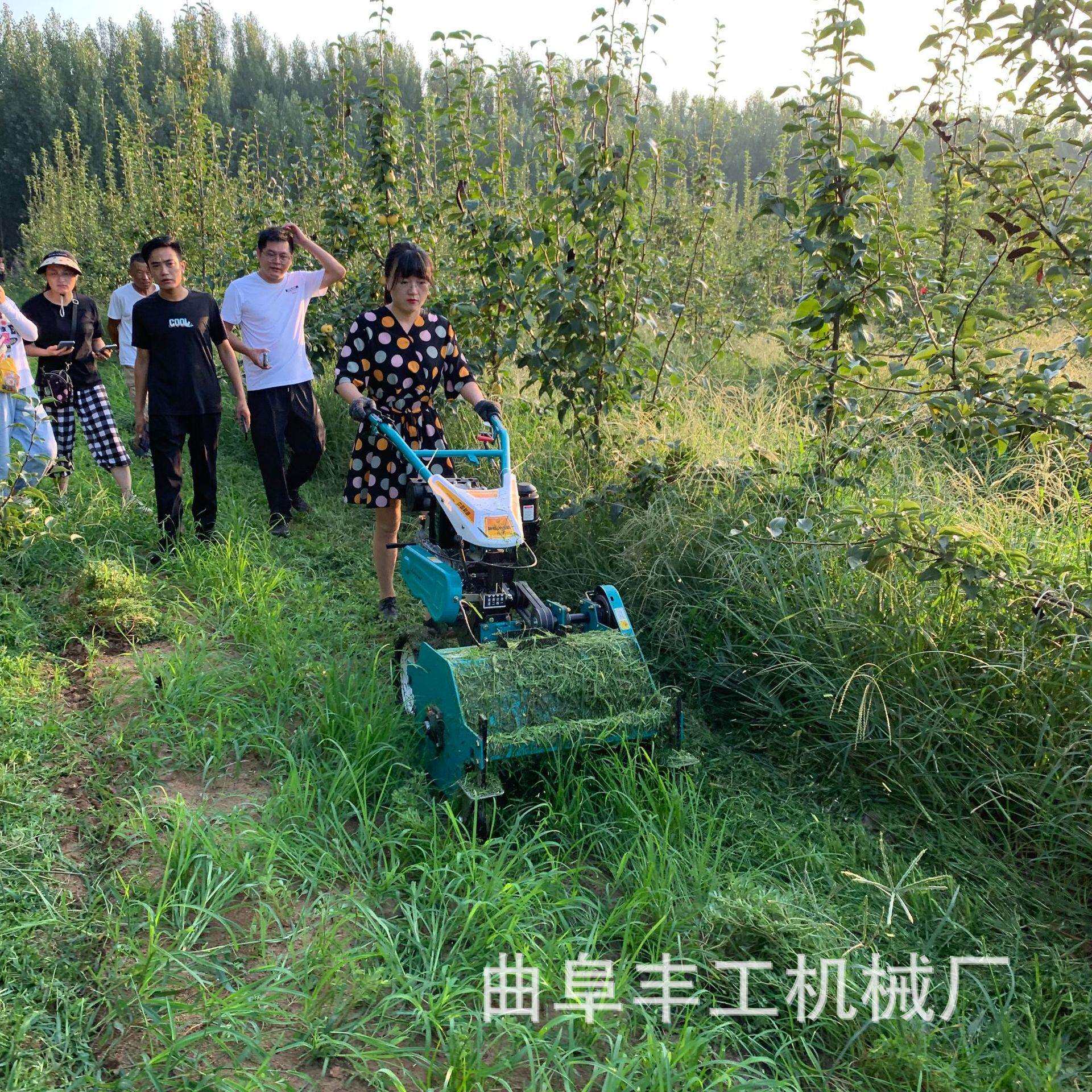 田间农用自走式汽油割草机 小型手推柴油碎草机 秸秆还田机