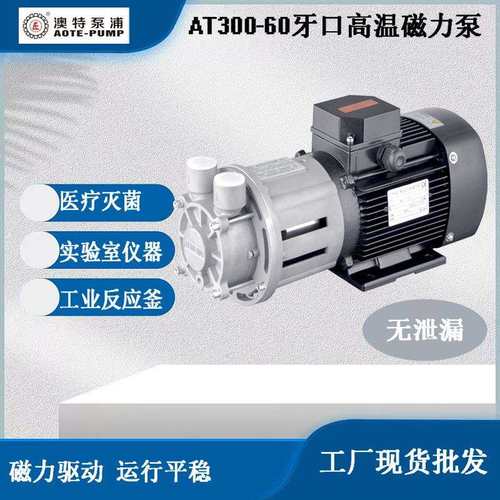 AOTE-PUMP澳特AT300工业反应釜齿轮磁力泵高温油泵不锈钢材质