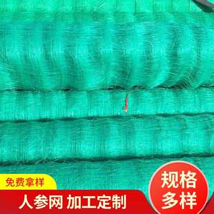 植物人参养殖网 塑料植物爬藤防倒伏网 绿色聚乙烯防护网定 制