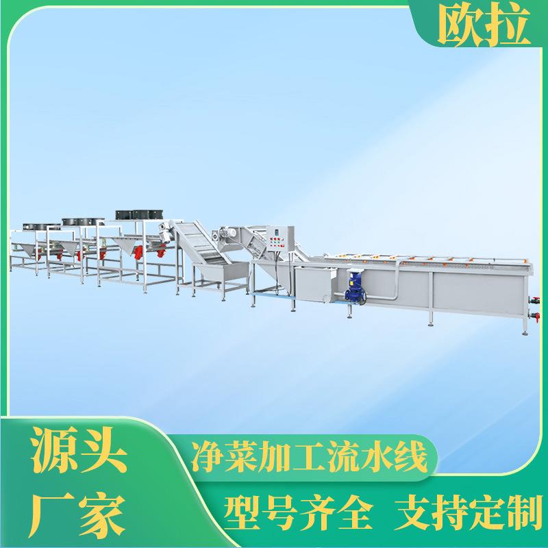 水果蔬菜翻转冲浪清洗机 海鲜类清洗机器 高压喷淋净菜流水线设备