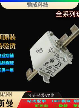 巴斯曼170M3316 170M3317 170M3318 经销出厂价格 紧凑熔断器