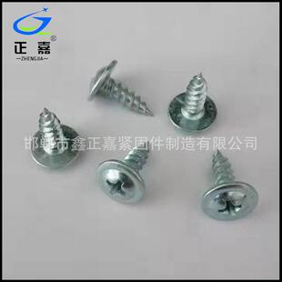 厂家供应加硬圆头华司自攻丝 大扁头自攻丝 华司尖尾自攻钉