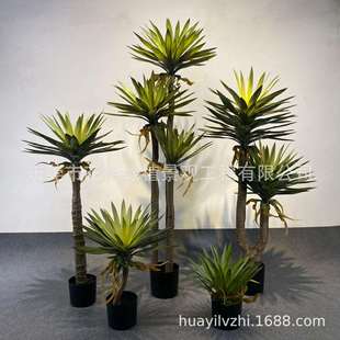 仿真凤尾丝兰龙舌兰龙血树盆景假树植物叶子塑料盆栽假装饰凤尾丝