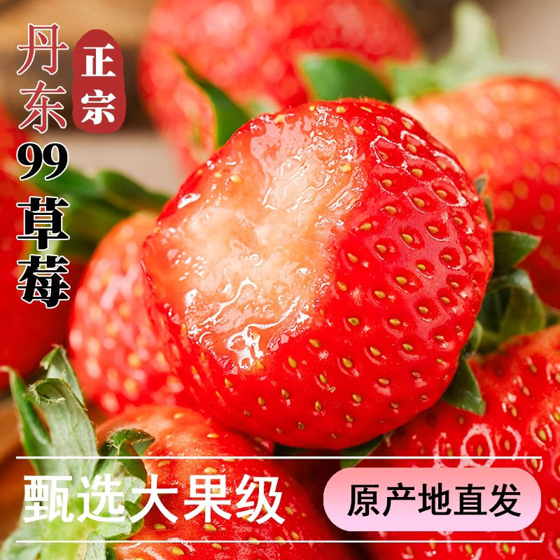 正宗丹东九九草莓超大新鲜应季水果礼盒奶油丹东99草莓果王