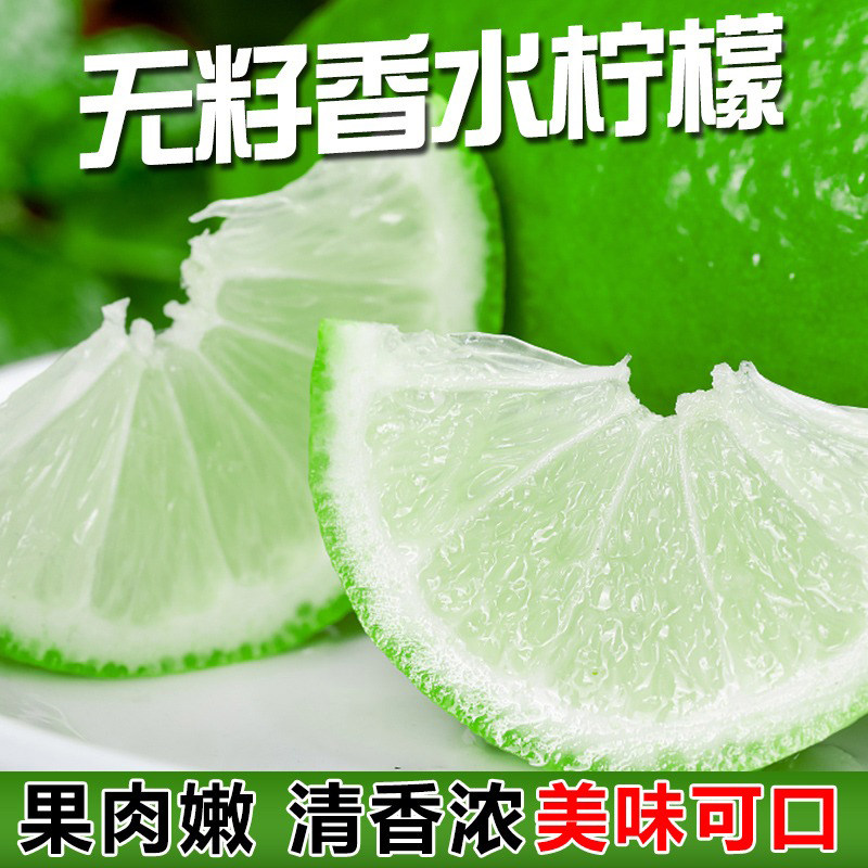 果小恩正宗香水柠檬新鲜无籽子弹头大果一级皮薄奶茶店专用