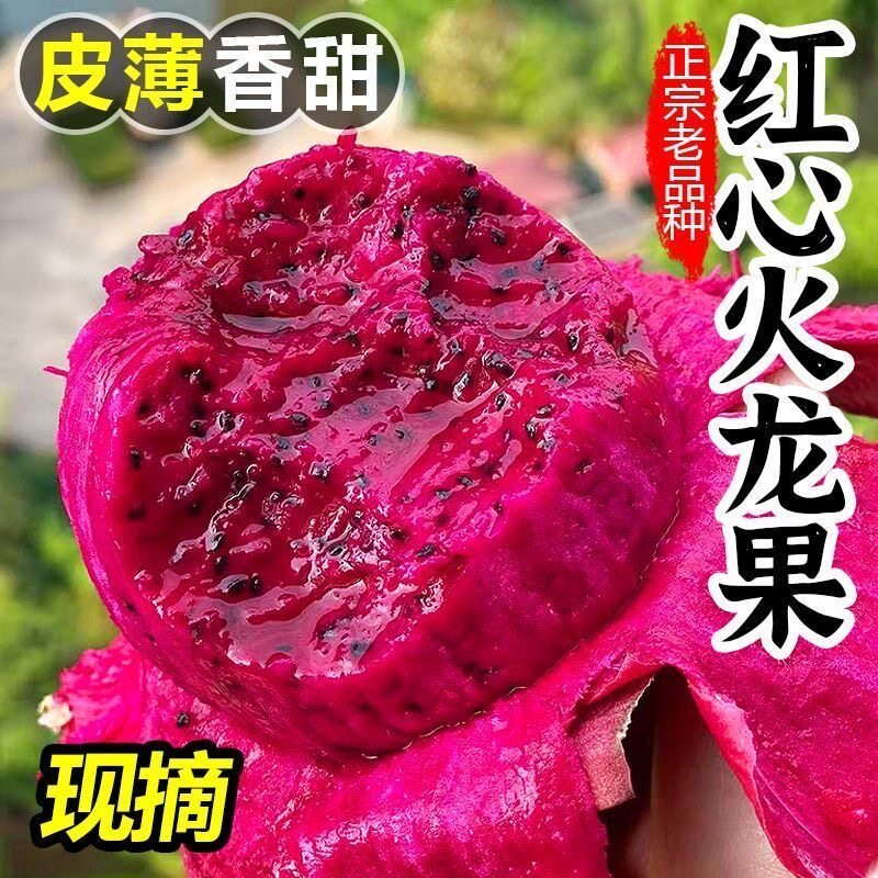海南金都一号红心火龙果新鲜5斤整箱大果当季应季新鲜水果包邮
