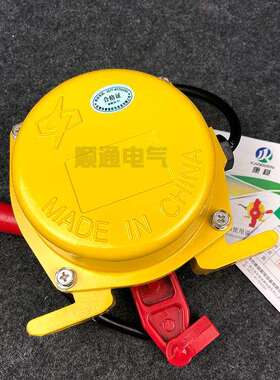 双向拉绳开关BXG-LX-K2-J MG135-T1-P-S事故急停拉线控制器XUS-II