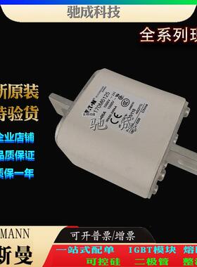 巴斯曼170M6125 170M6138 170M6139 大量现货厂价销售 快速熔断器