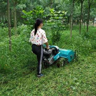 新型果园除草机 园林苗圃打草碎草粉碎一体机 自走式碎草还田机