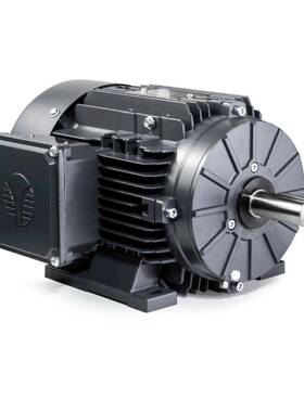 ECHTOP特波出口欧洲IEC标准铝壳电机欧盟CE/EAC认证TA132S2-2